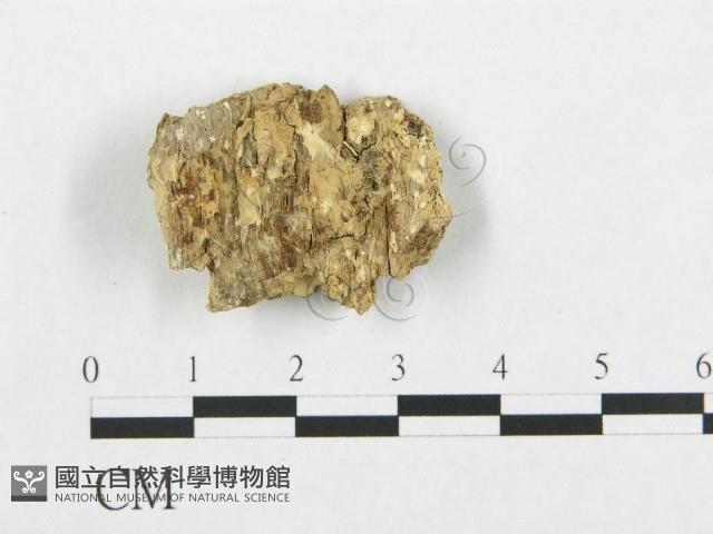 登錄號:F0007108藏品圖，第1張