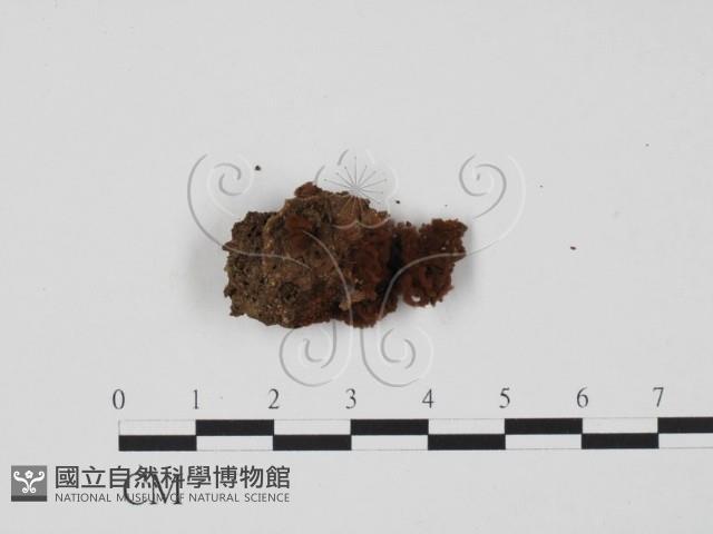 登錄號:F0003108藏品圖，第1張