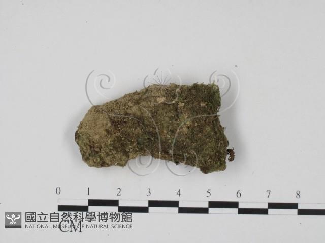 登錄號:F0001308藏品圖，第1張