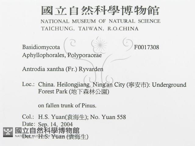 登錄號:F0017308藏品圖，第3張