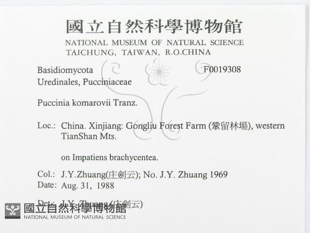 登錄號:F0019308藏品圖，第3張
