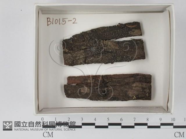登錄號:F0018218藏品圖，第1張