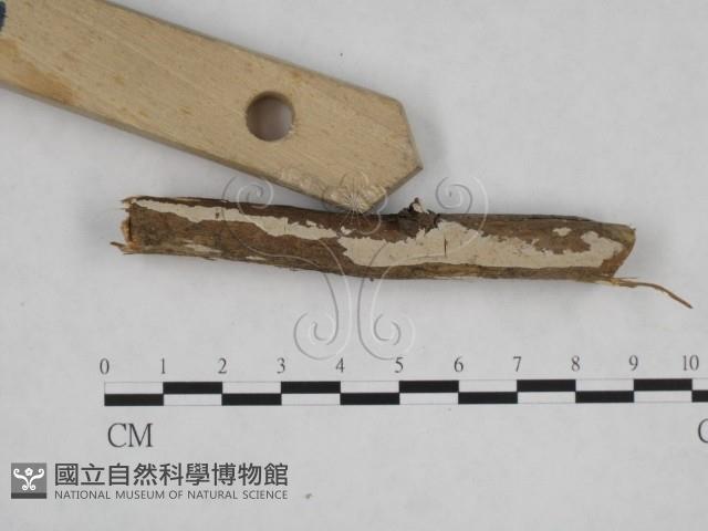 登錄號:F0001218藏品圖，第1張