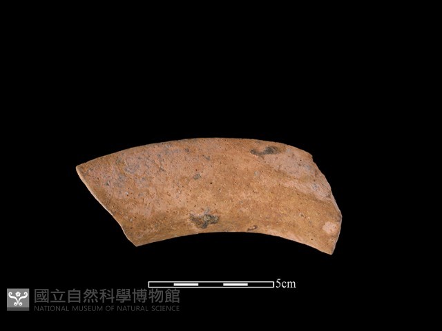 陶罐藏品圖，第1張