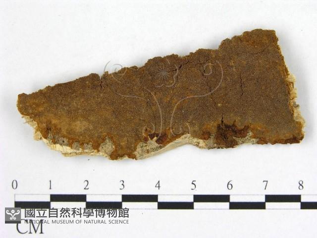 登錄號:F0007218藏品圖，第1張