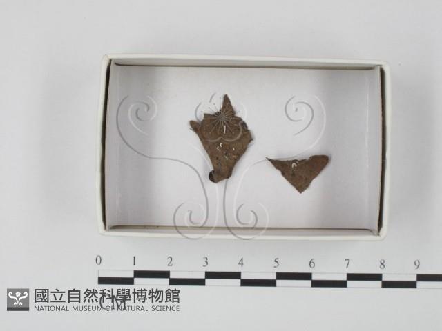 登錄號:F0007418藏品圖，第1張