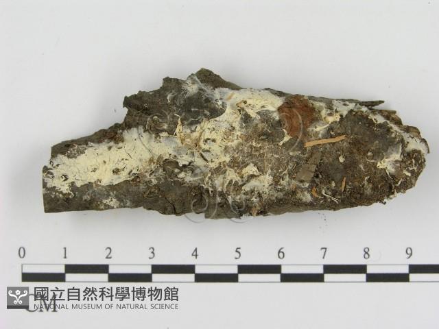 登錄號:F0015418藏品圖，第1張