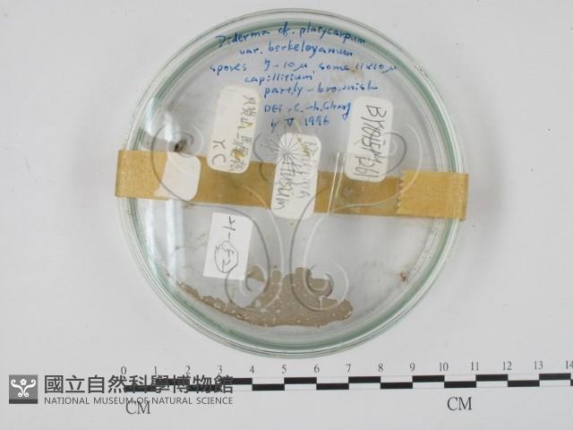 登錄號:F0018118藏品圖，第1張