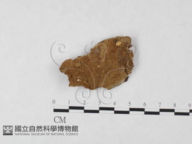 登錄號:F0006118藏品圖，第1張