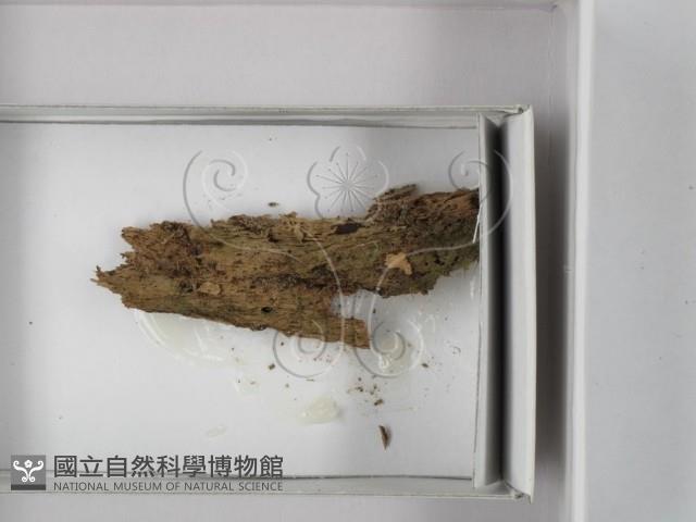 登錄號:F0018018藏品圖，第1張