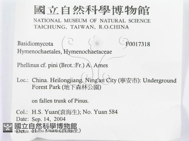 登錄號:F0017318藏品圖，第3張