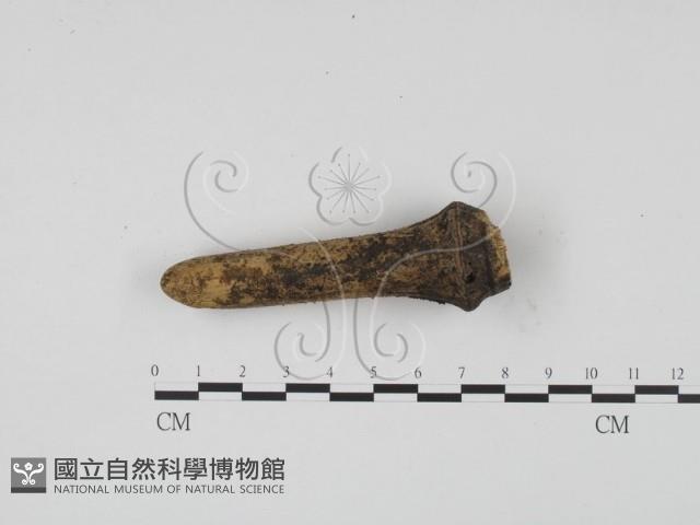 登錄號:F0009318藏品圖，第1張