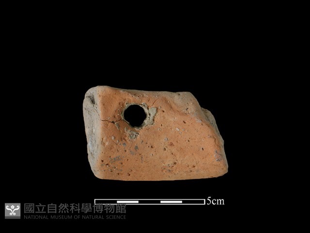 陶罐藏品圖，第1張
