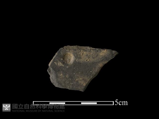 陶片藏品圖，第2張