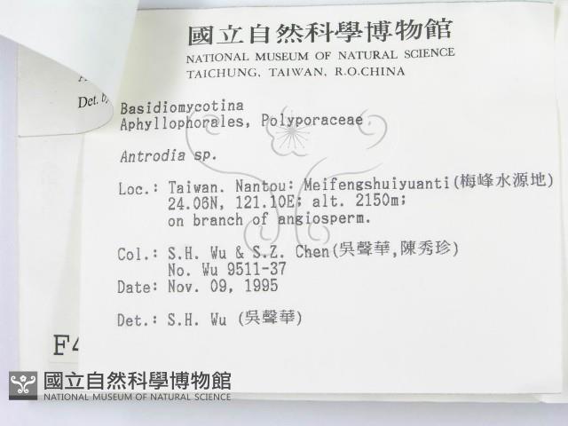 登錄號:F0004298藏品圖，第3張