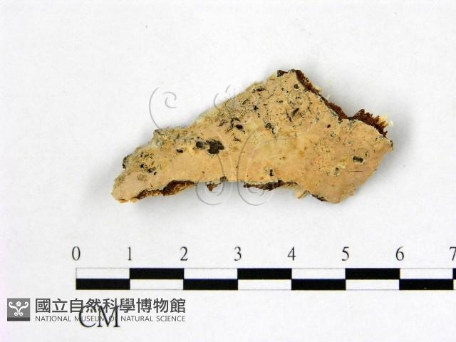 登錄號:F0014898藏品圖，第1張