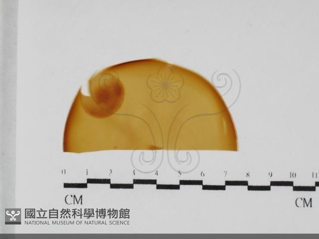 登錄號:F0031998藏品圖，第1張