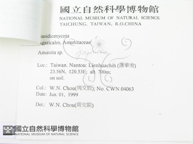 登錄號:F0012998藏品圖，第3張