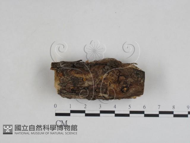 登錄號:F0027998藏品圖，第1張