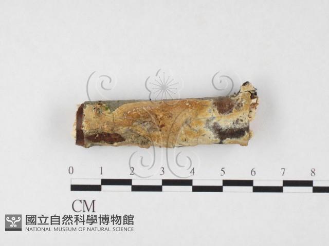 登錄號:F0026698藏品圖，第1張