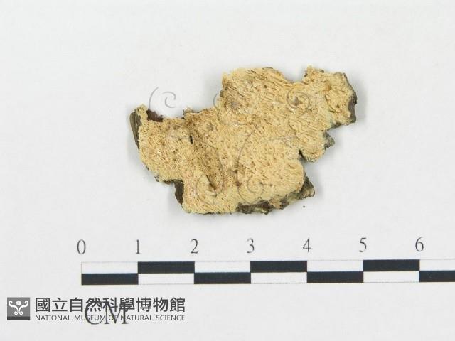 登錄號:F0006698藏品圖，第1張