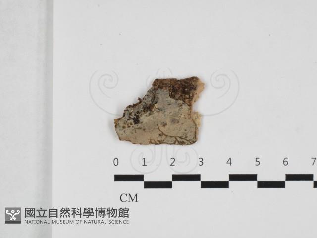 登錄號:F0032698藏品圖，第1張
