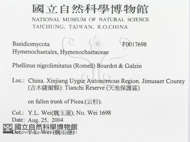 登錄號:F0017698藏品圖，第3張