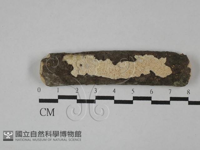 登錄號:F0029698藏品圖，第1張