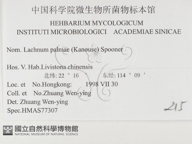 登錄號:F0026498藏品圖，第3張