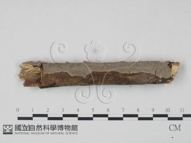 登錄號:F0001498藏品圖，第1張