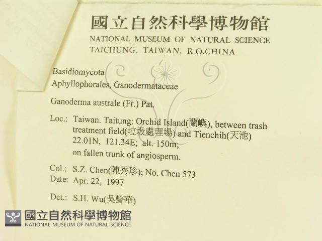 登錄號:F0008798藏品圖，第3張