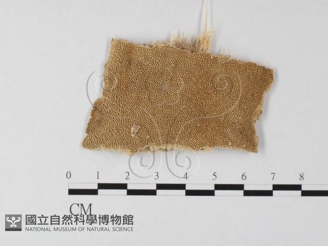 登錄號:F0006798藏品圖，第1張