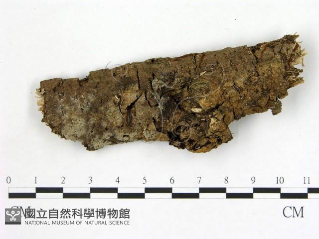 登錄號:F0021798藏品圖，第1張