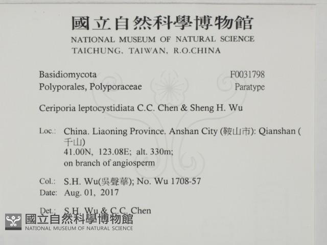 登錄號:F0031798藏品圖，第2張