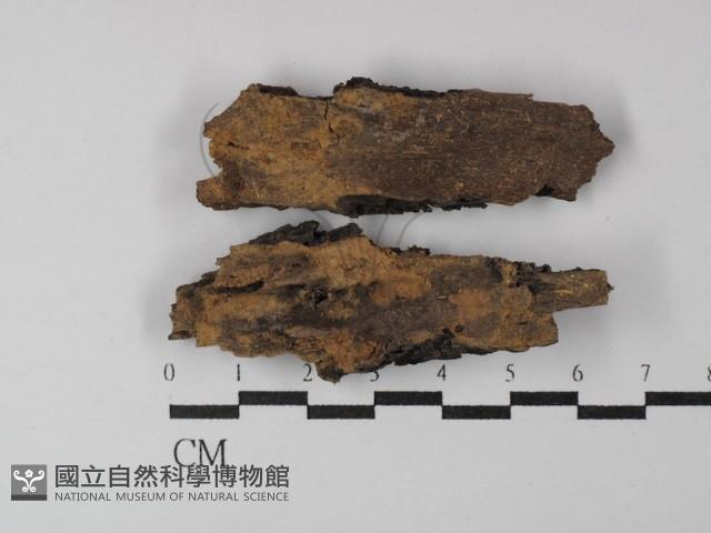 登錄號:F0029798藏品圖，第1張