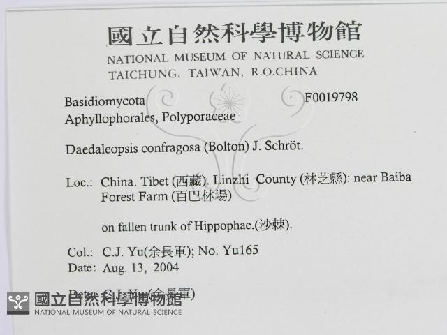 登錄號:F0019798藏品圖，第3張