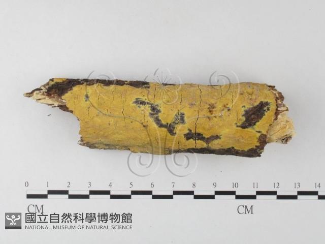 登錄號:F0023798藏品圖，第1張