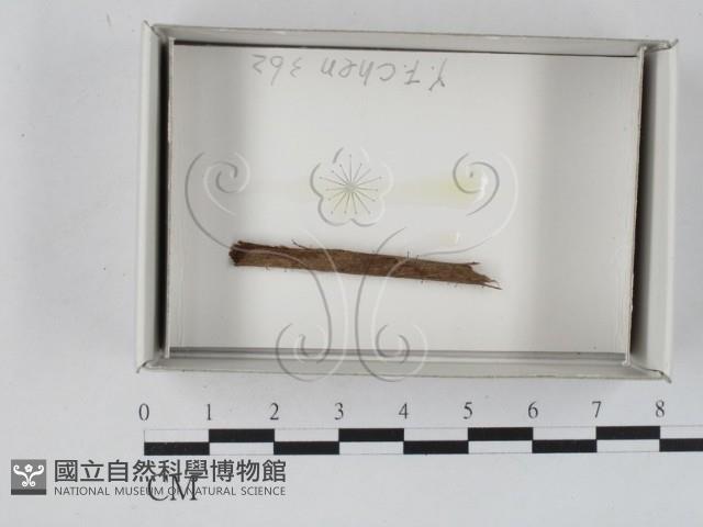 登錄號:F0018598藏品圖，第1張