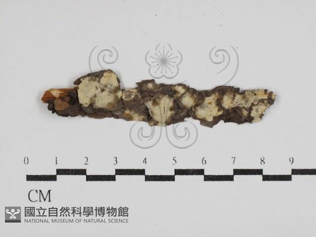 登錄號:F0030598藏品圖，第1張