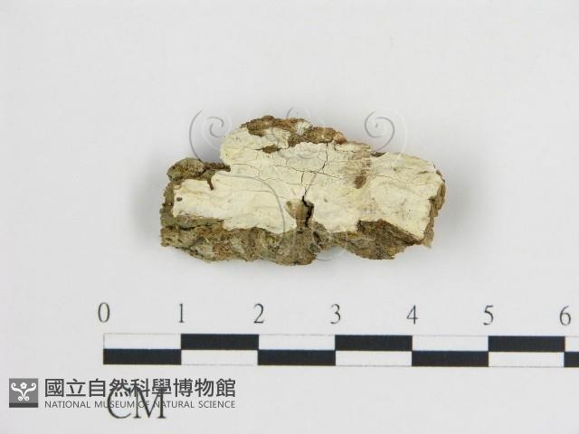 登錄號:F0016598藏品圖，第1張