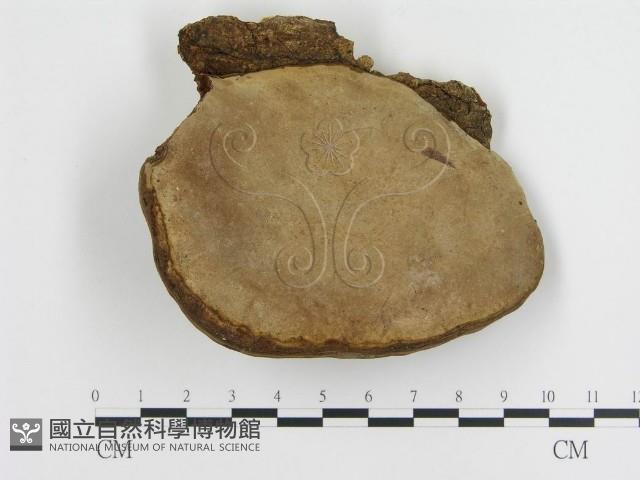 登錄號:F0001598藏品圖，第1張