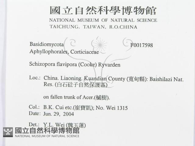 登錄號:F0017598藏品圖，第3張