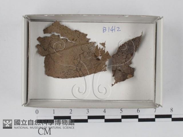 登錄號:F0018198藏品圖，第1張