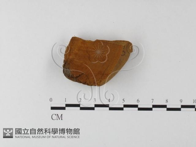 登錄號:F0006198藏品圖，第1張
