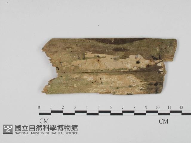 登錄號:F0004198藏品圖，第1張