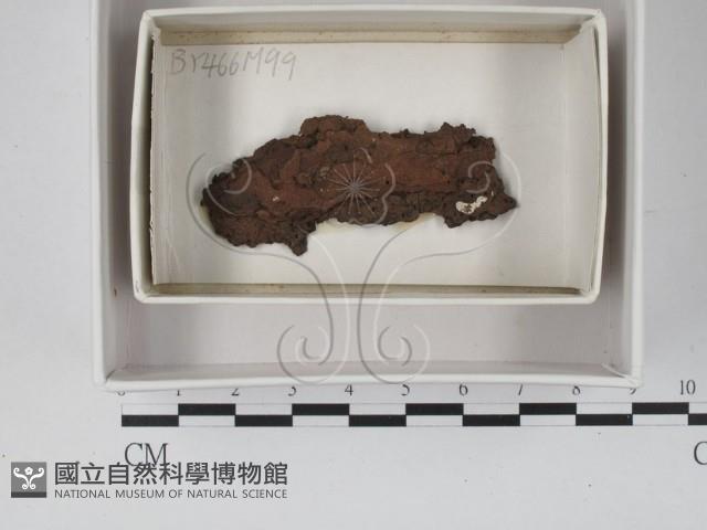 登錄號:F0018098藏品圖，第1張