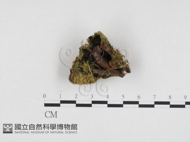 登錄號:F0024098藏品圖，第1張