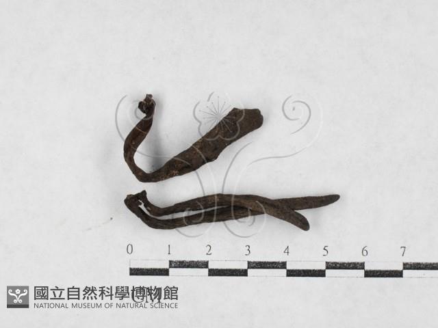 登錄號:F0027098藏品圖，第1張