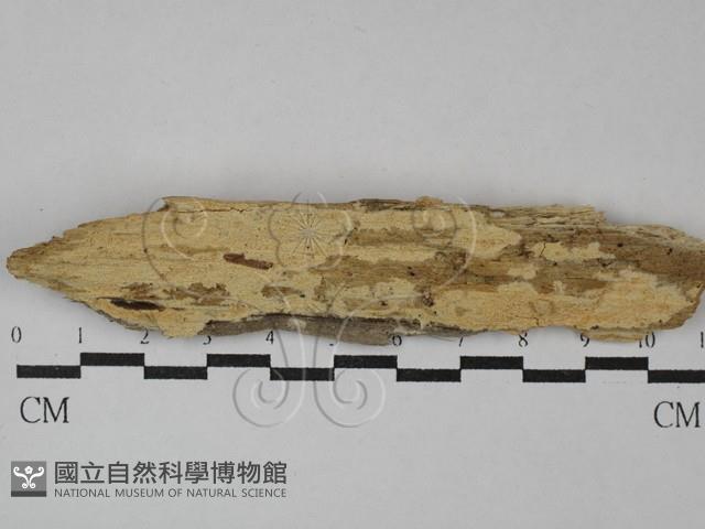 登錄號:F0029098藏品圖，第1張