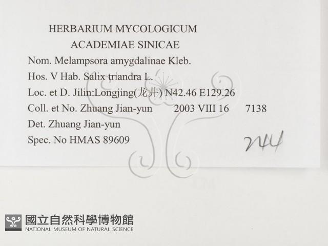 登錄號:F0026398藏品圖，第3張